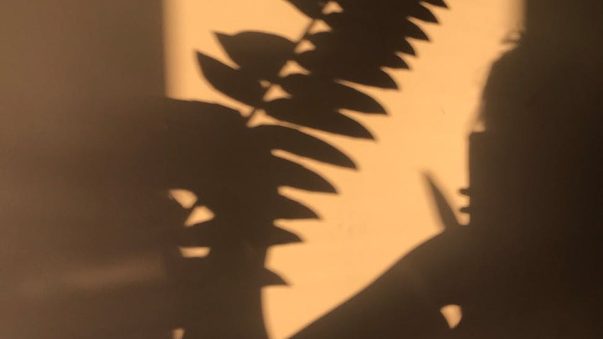 Abstract texture of warm dust with subtle patterns.